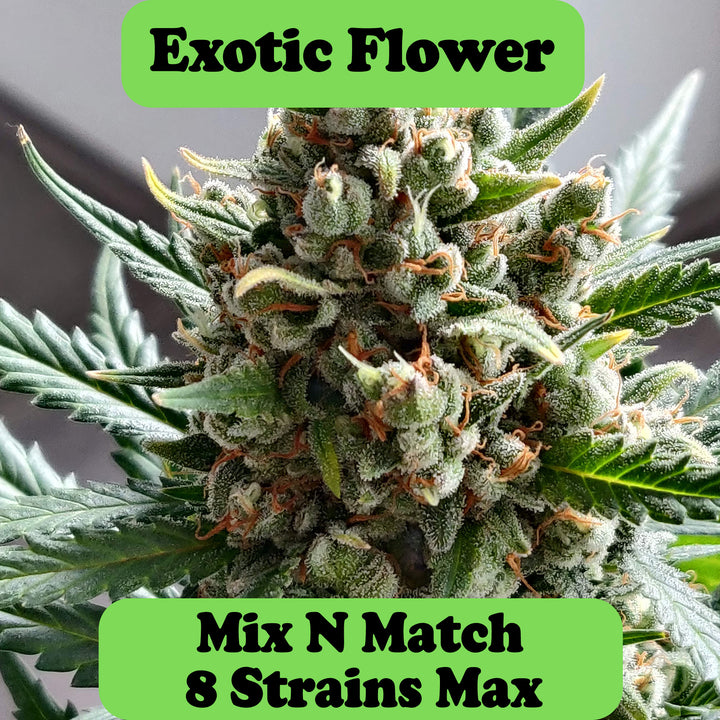 Mix N Match Exotic Cannabis