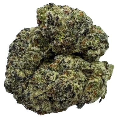 Black Lotus