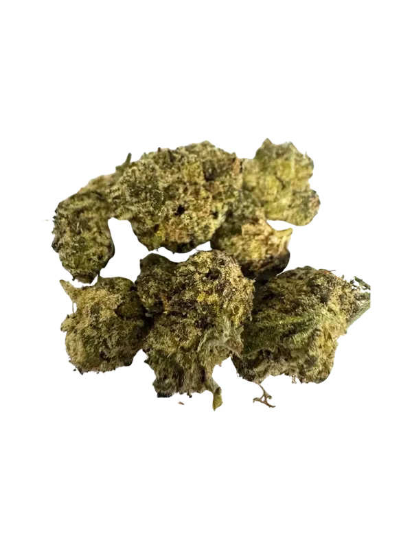 BODEGA BUBBLEGUM SMALLS