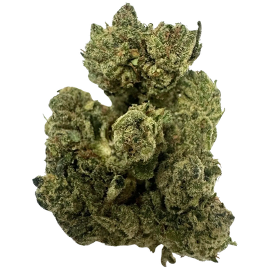 Elmers Glue #7