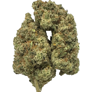 Jack Herer