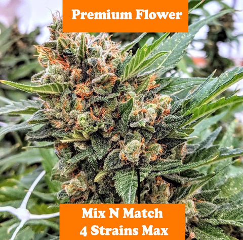 LEMONHEAD 2 4strainmax aacb0328 9934 4aea a829