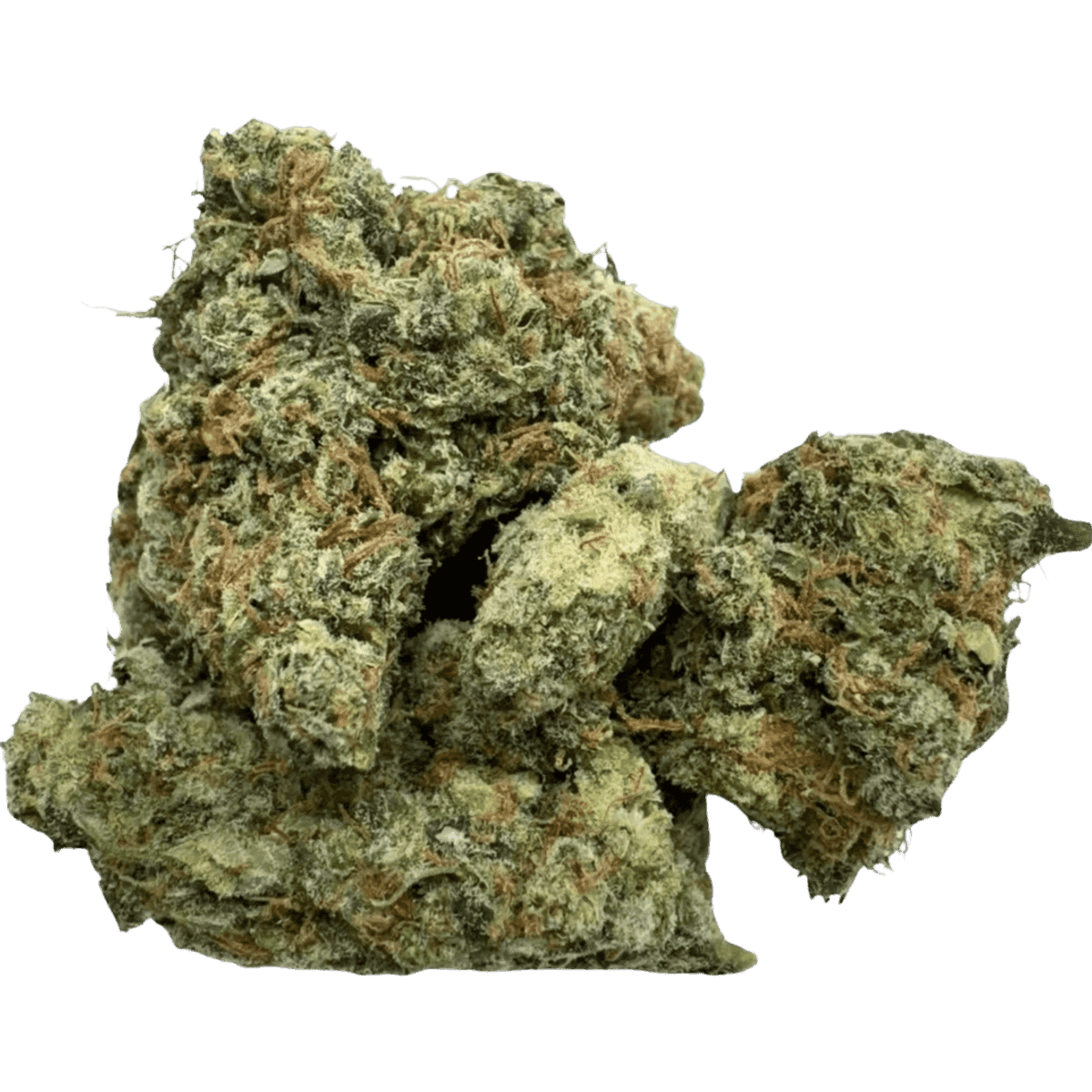 NORTHERN HAZE 7G | 14G | 28G