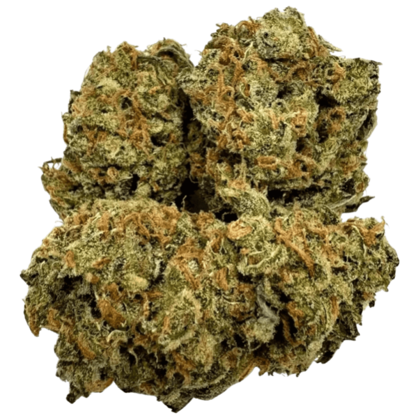 JACK HERER