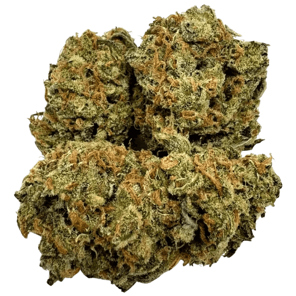 Jack Herer | 7G | 14G | 28G