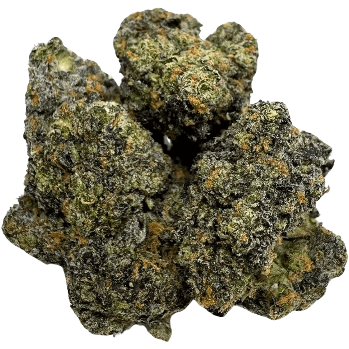 LEMON CHERRY GELATO