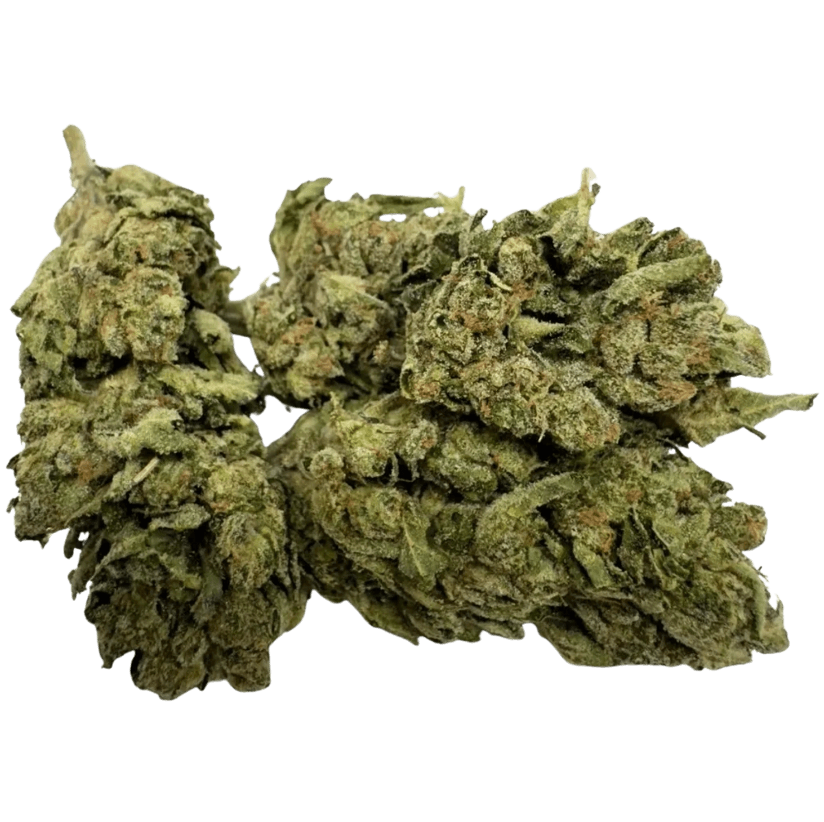 JET FUEL GELATO 1 JET FUEL GELATO