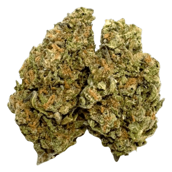 TAHOE OG