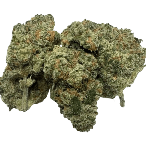 JACK HERER