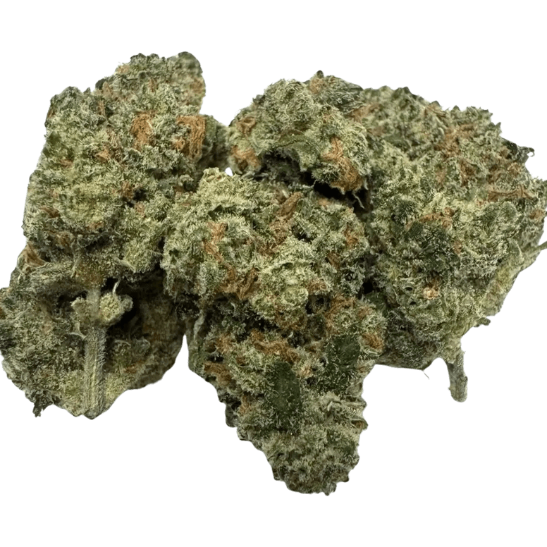 JACK HERER 1 JACK HERER