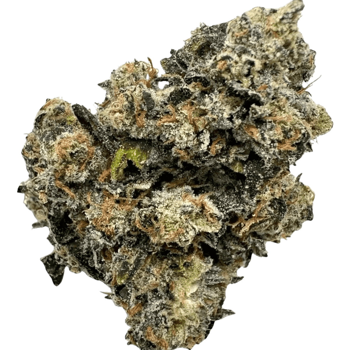 KOSHER TANGIE KUSH
