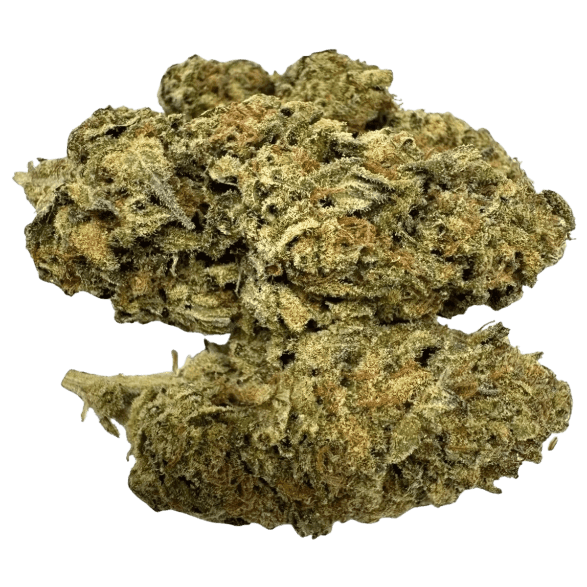 WATERMELON GELATO