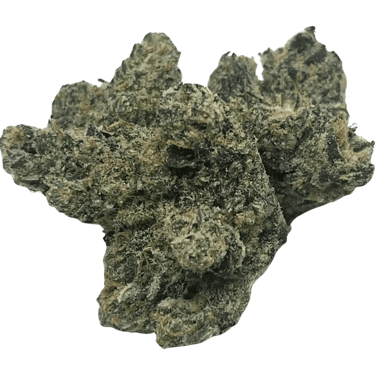 BERRY DREAM B-BUDS
