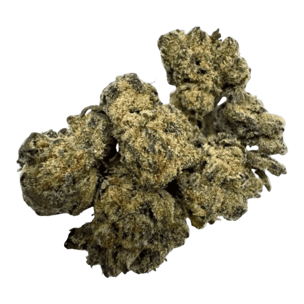 NOHO GELATO
