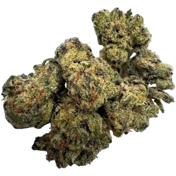 NOHO GELATO