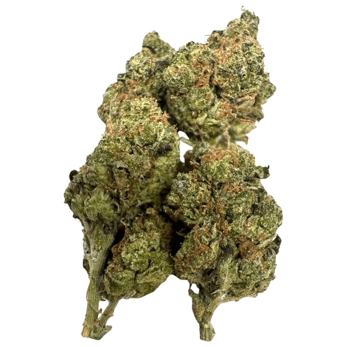 SOUR DIESEL