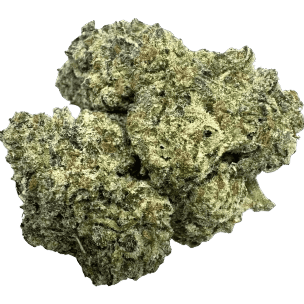 WIZARD GLUE