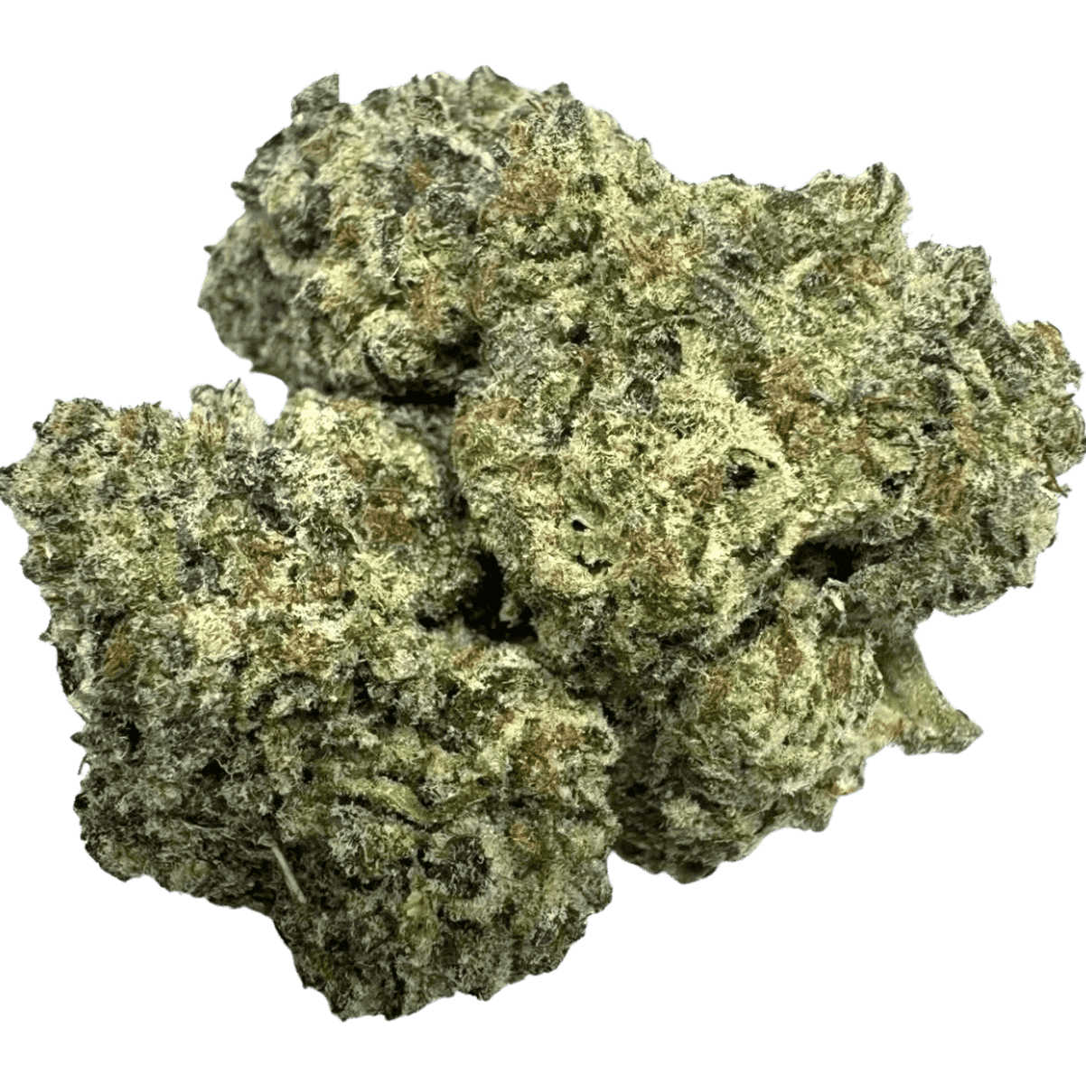 WIZARD GLUE