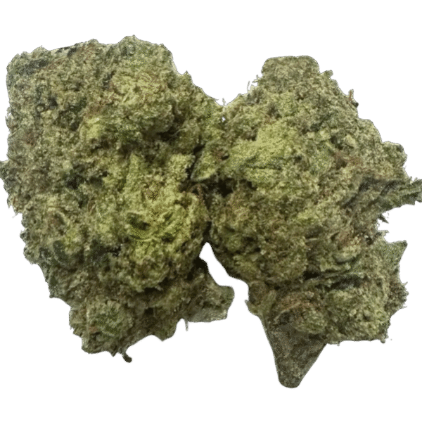 KEY LIME PIE KEY LIME PIE