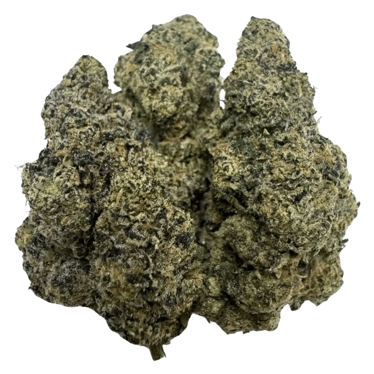 LEMONHEAD 1 LEMONHEAD