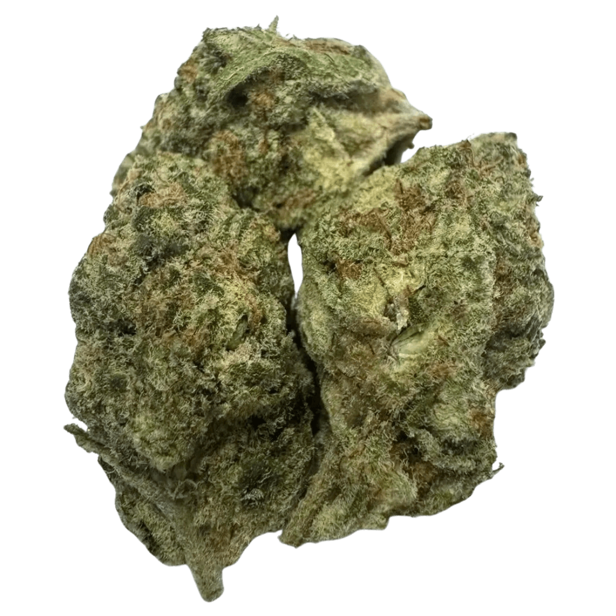 SOUR TANGIE 1 SOUR TANGIE