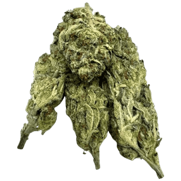 TOASTED MARSHMALLOW TOASTED MARSHMALLOW