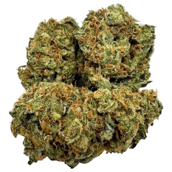 CANDY MULE CANDY MULE