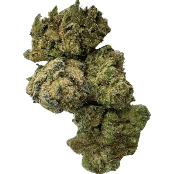 HEIGHTS: PINK RUNTZ SMALLS