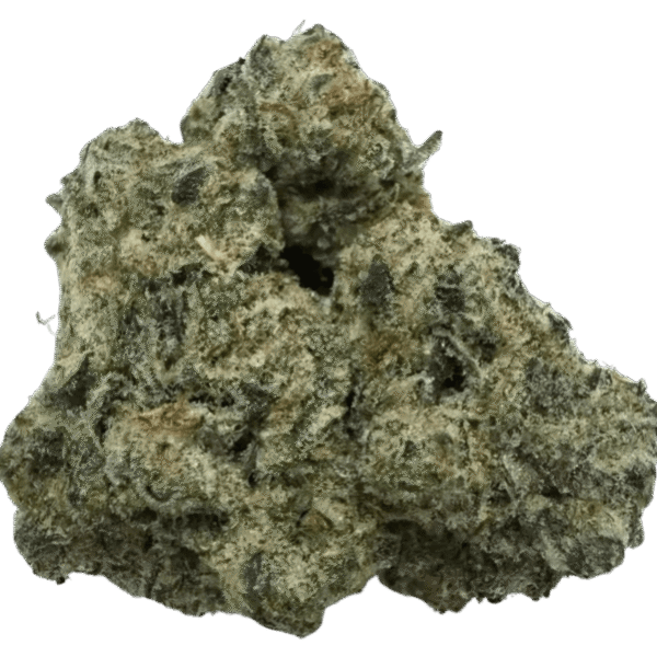 GLITTER DIESEL