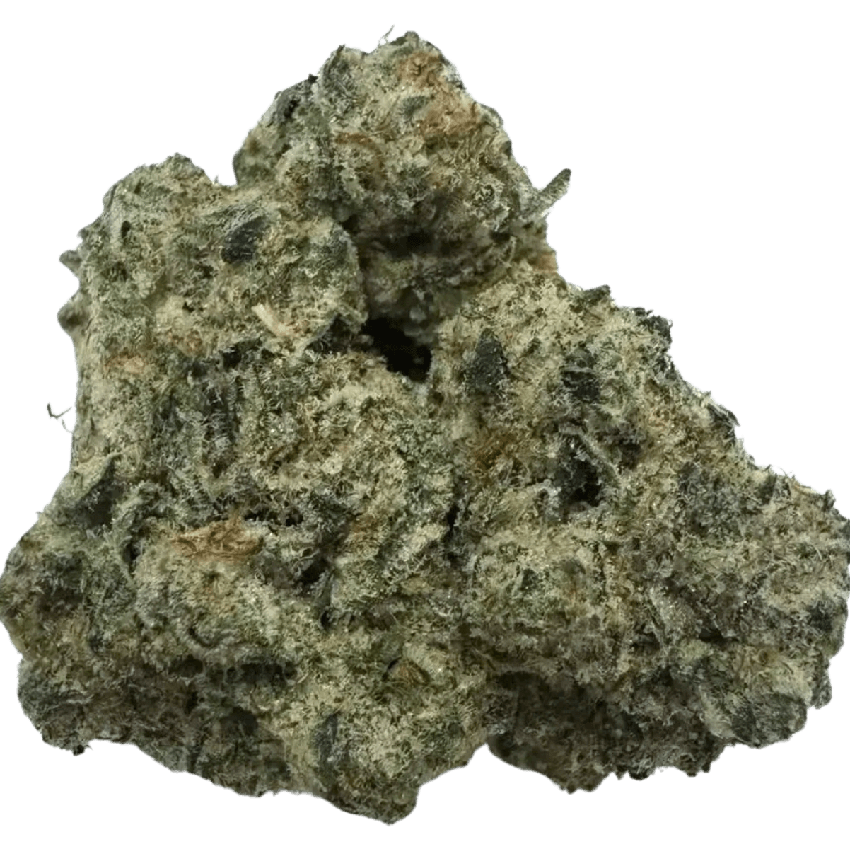 GLITTER DIESEL 1 GLITTER DIESEL