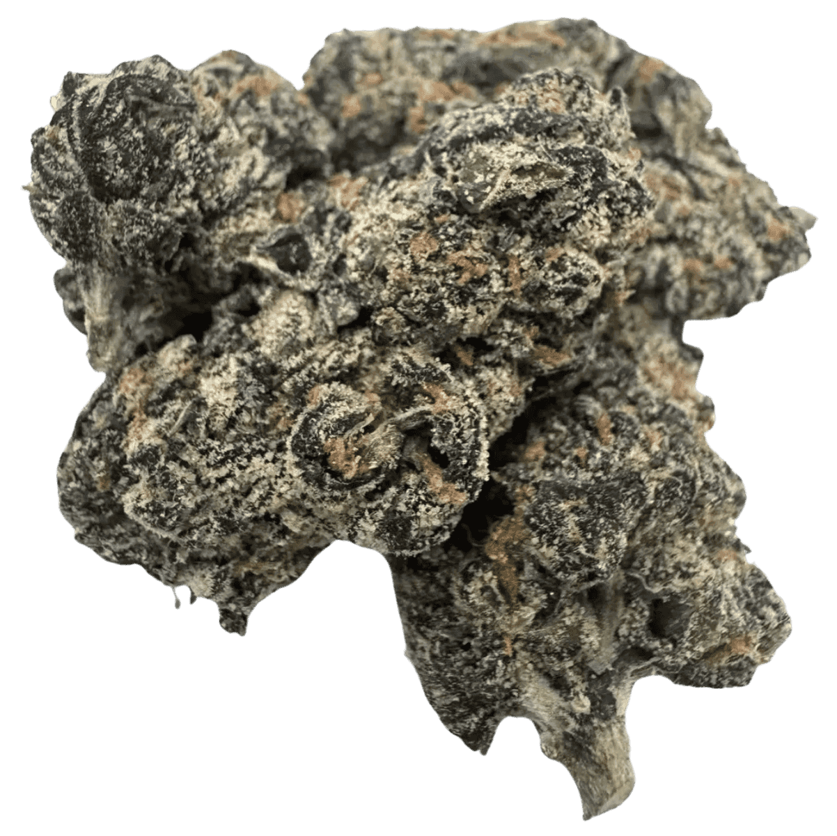 MAUI CITRUS PUNCH 1 MAUI CITRUS PUNCH