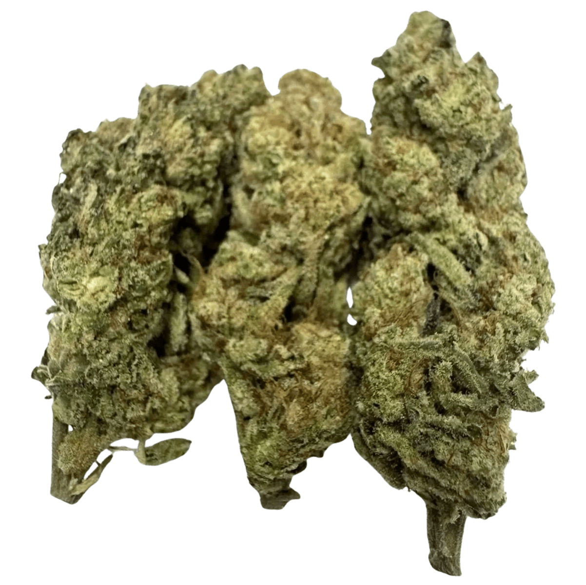 RARE DANKNESS 1 RARE DANKNESS