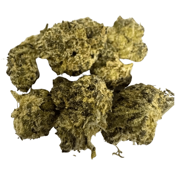 BODEGA BUBBLEGUM SMALLS